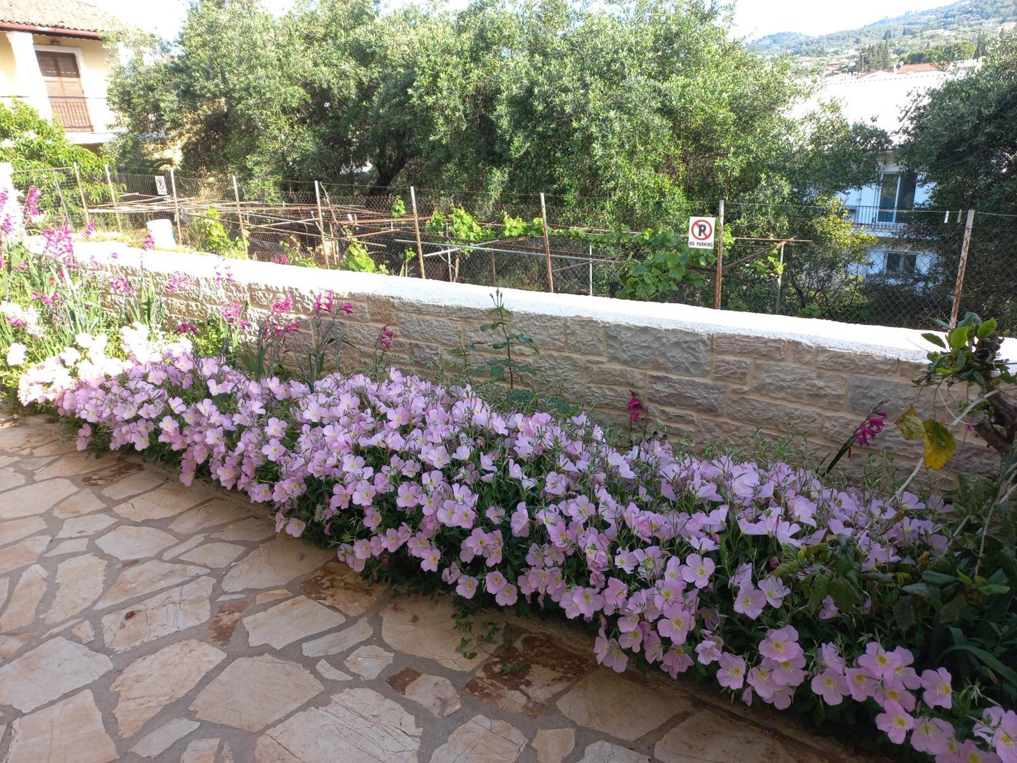 Oneiro House Apartment Kassiopi Bagian luar foto